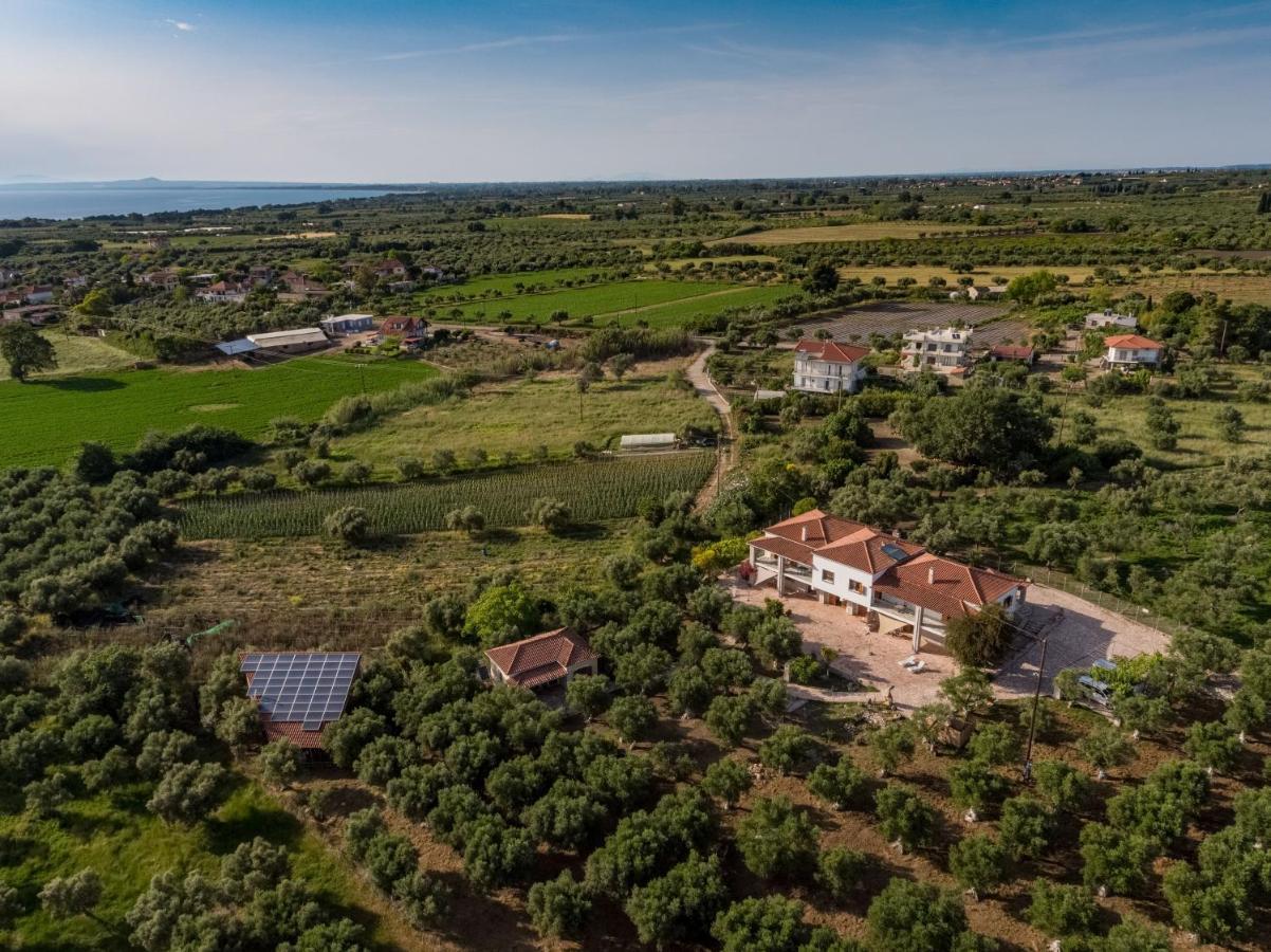 Ionianeon Apartments Agios Ilias  외부 사진