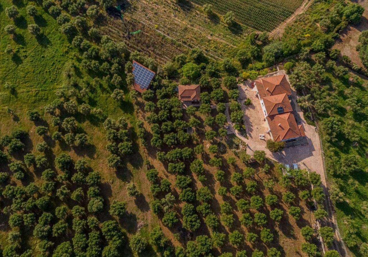 Ionianeon Apartments Agios Ilias  외부 사진