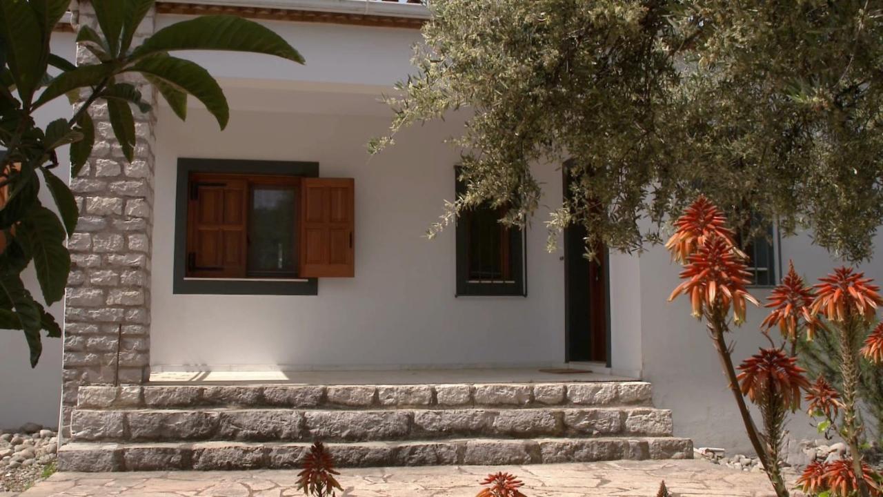 Ionianeon Apartments Agios Ilias  외부 사진